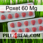 Poxet 60 Mg 19